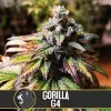 gorilla-glue-4_10627_1_20200321171013_